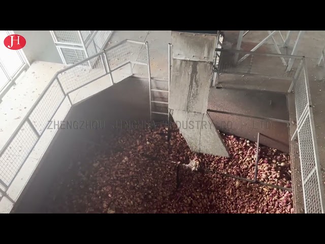 CHINA SS, welche die Süßkartoffel-Stärke herstellt Maschine 25t/H 18.5kw säubern à vendre