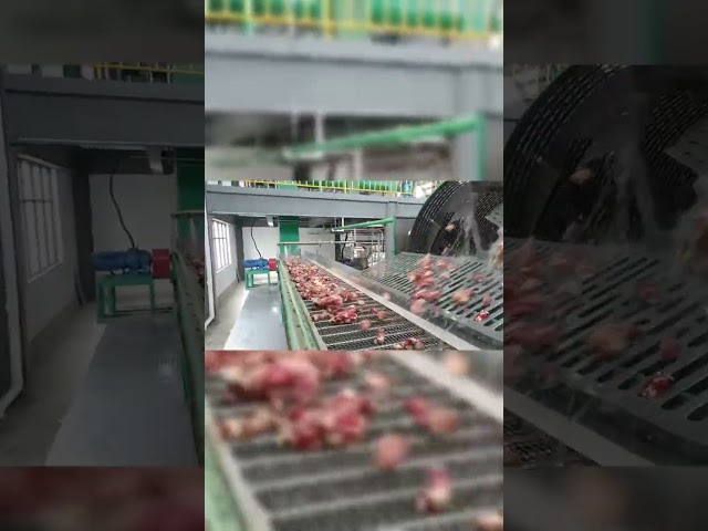 CHINA Edelstahl-Tapiokastärke-Herstellungsmaschine Paddelreinigungsmaschine à vendre
