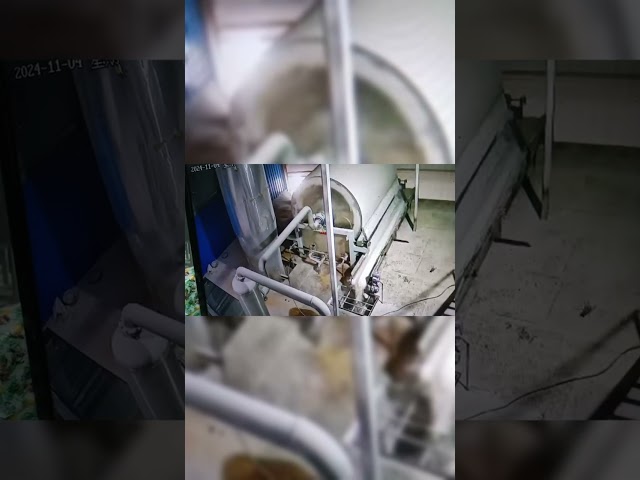 CHINA Reinigungsreinigung der Süßkartoffel-30Kw, die Ausrüstungs-Trommelwaschmaschine macht à vendre