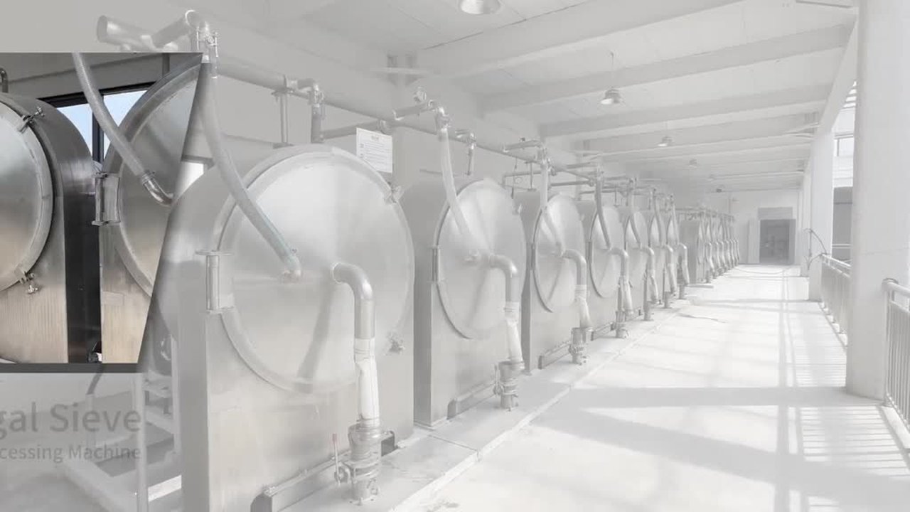 CHINA Automatische getrocknete Kartoffel-Manioka-Stärke-Schlamm-Zentrifugen-Sieb-Ausrüstung à vendre